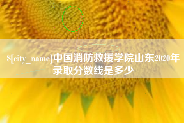 华容中国消防救援学院山东2020年录取分数线是多少