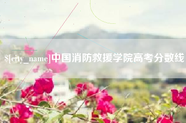 华容中国消防救援学院高考分数线