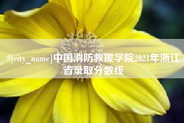 华容中国消防救援学院2021年浙江省录取分数线