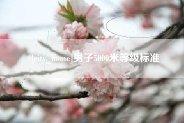 华容男子5000米等级标准