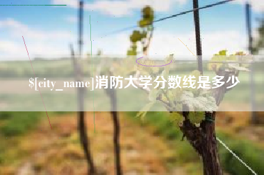 华容消防大学分数线是多少