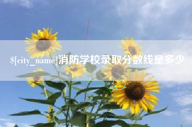 华容消防学校录取分数线是多少