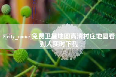 华容免费卫星地图高清村庄地图看到人实时下载