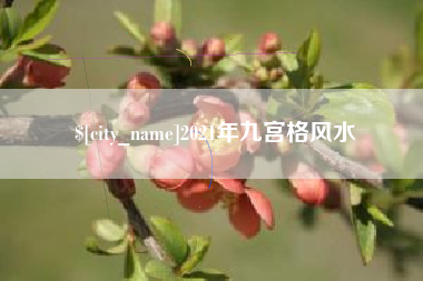 华容2021年九宫格风水