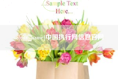 华容中国执行网信息官网