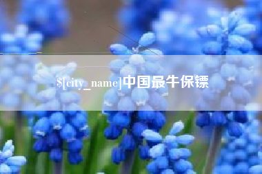 华容中国最牛保镖