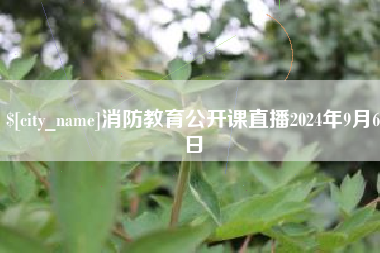 华容消防教育公开课直播2024年9月6日