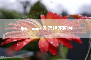 华容九宫格龙图片