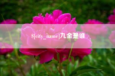 华容九金是谁