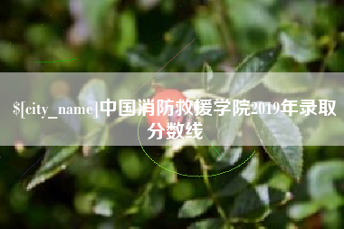 华容中国消防救援学院2019年录取分数线