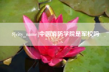 华容中国消防学院是军校吗
