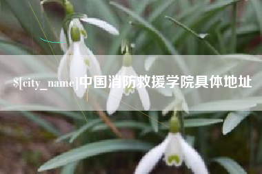 华容中国消防救援学院具体地址