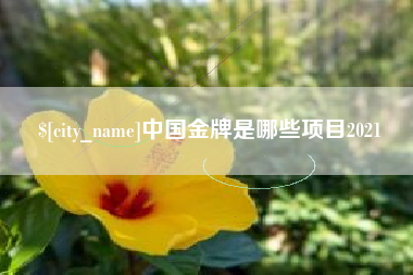 华容中国金牌是哪些项目2021