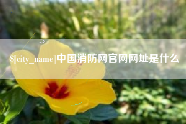 华容中国消防网官网网址是什么