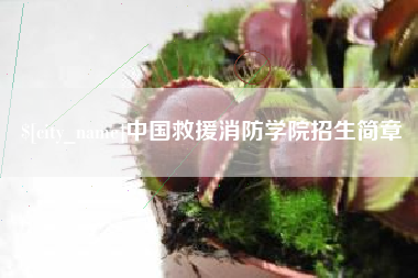 华容中国救援消防学院招生简章