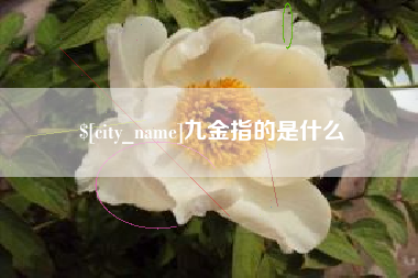 华容九金指的是什么