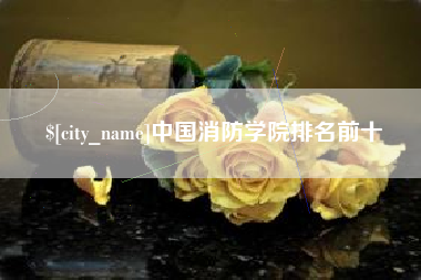 华容中国消防学院排名前十