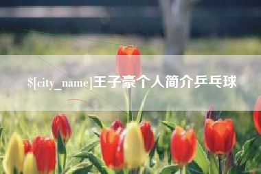 华容王子豪个人简介乒乓球