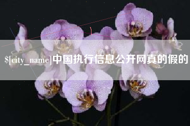 华容中国执行信息公开网真的假的