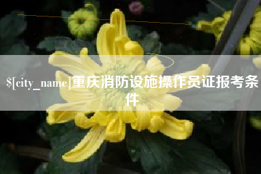 华容重庆消防设施操作员证报考条件