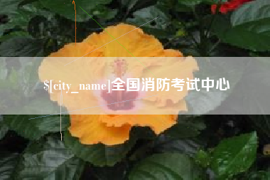 华容全国消防考试中心