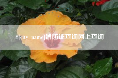 华容消防证查询网上查询