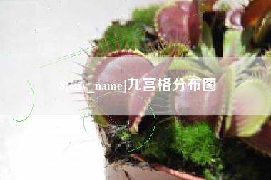 华容九宫格分布图