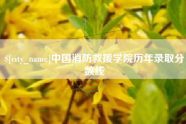 华容中国消防救援学院历年录取分数线