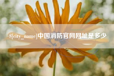 华容中国消防官网网址是多少