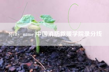 华容中国消防救援学院录分线