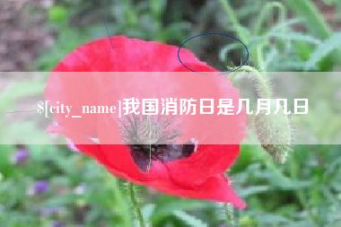 华容我国消防日是几月几日