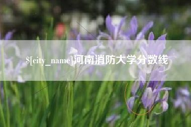 华容河南消防大学分数线
