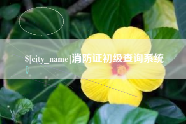 华容消防证初级查询系统