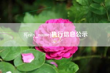 华容执行信息公示