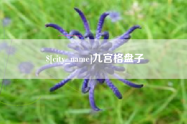 华容九宫格盘子