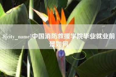 华容中国消防救援学院毕业就业前景如何