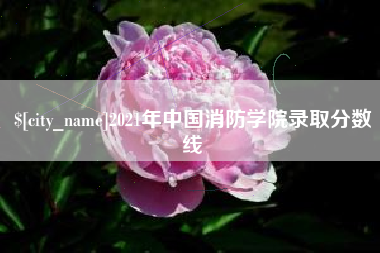 华容2021年中国消防学院录取分数线