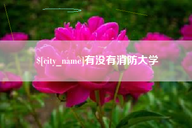 华容有没有消防大学