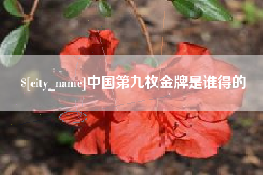 华容中国第九枚金牌是谁得的