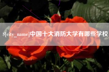 华容中国十大消防大学有哪些学校