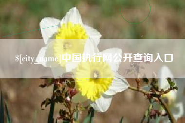 华容中国执行网公开查询入口