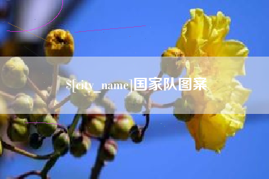 华容国家队图案