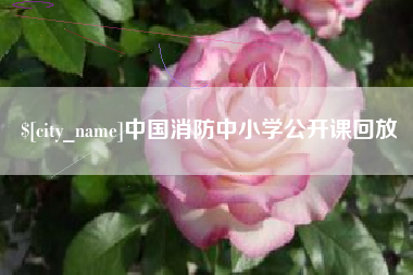 华容中国消防中小学公开课回放