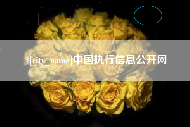 华容中国执行信息公开网