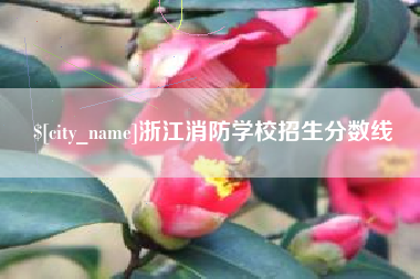华容浙江消防学校招生分数线