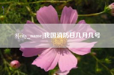 华容我国消防日几月几号