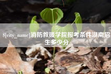 华容消防救援学院报考条件湖南招生多少分