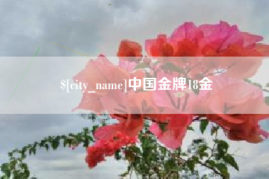 华容中国金牌18金