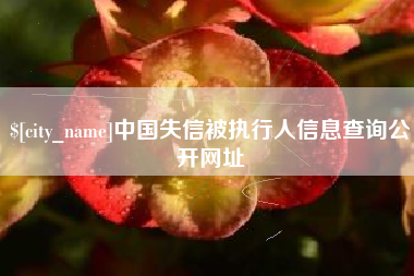 华容中国失信被执行人信息查询公开网址