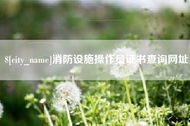 华容消防设施操作员证书查询网址